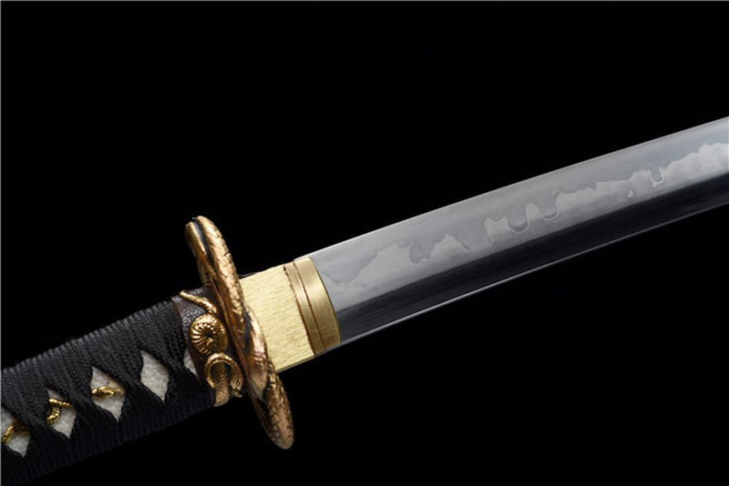 Wakizashi Sword Golden Python T10 Clay Tempered Steel 金蟒 For Sale | KatanaSwordArt Japanese Katana